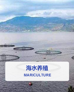 海水養(yǎng)殖